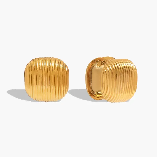 Golden_Stainless_Steel_And_Hypoallergenic_Coating_Earrings_For_Women